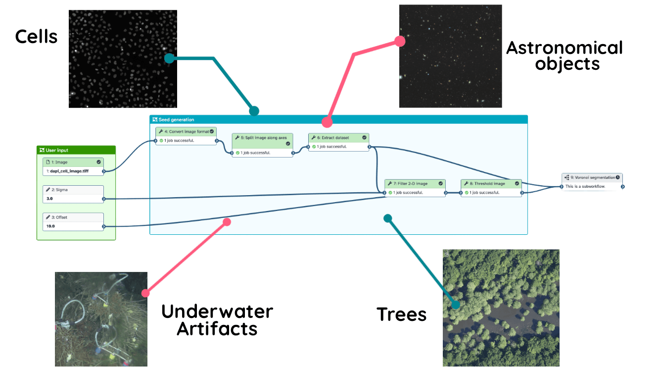 Voronoi Segmentation across disciplines