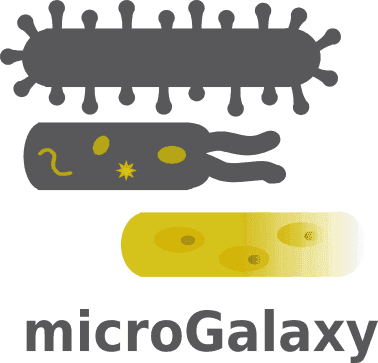 microGalaxy logo