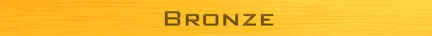 Bronze Sponsors