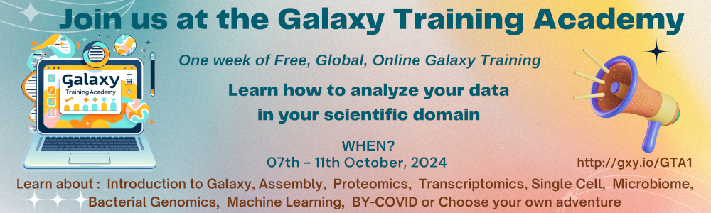 Galaxy Training Academy