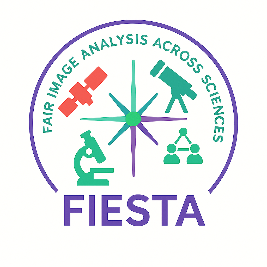 Logo of fiesta
