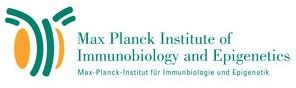 Logo of mpi