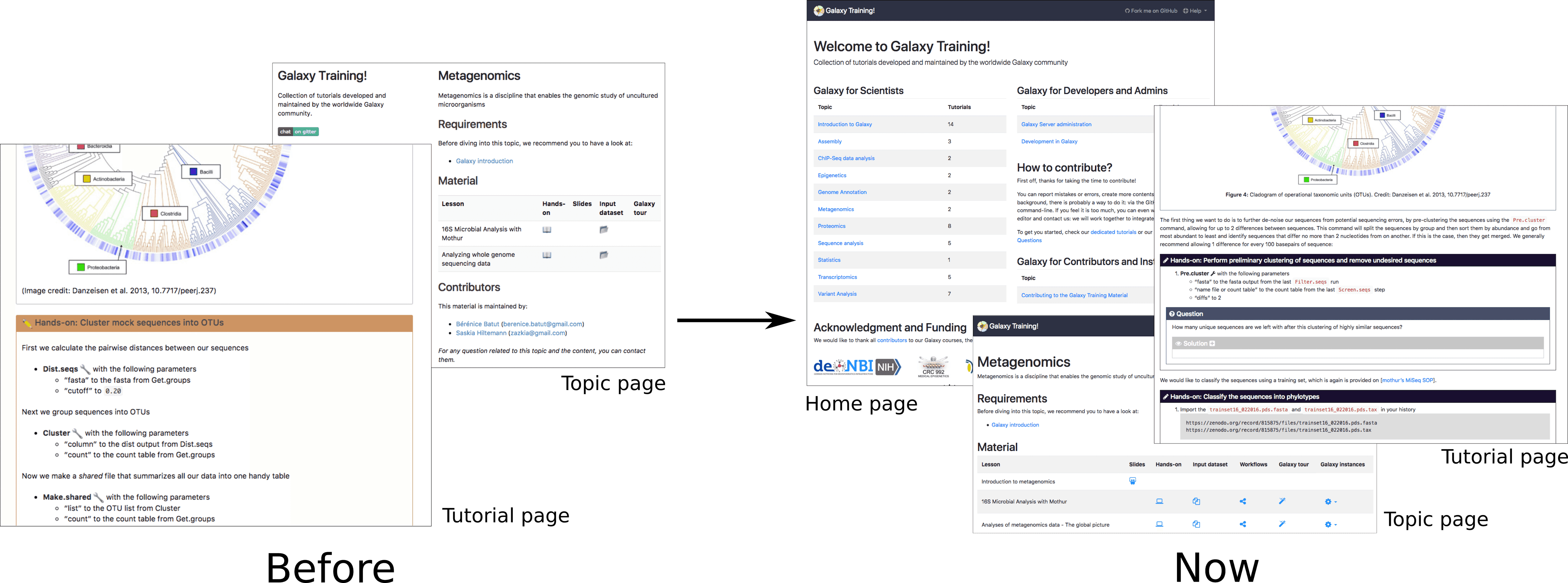Website reshape