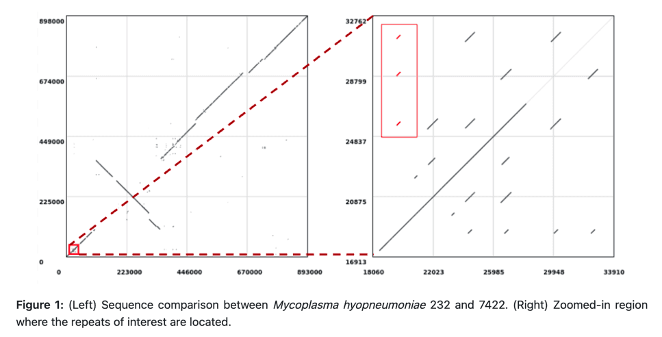 Comparison