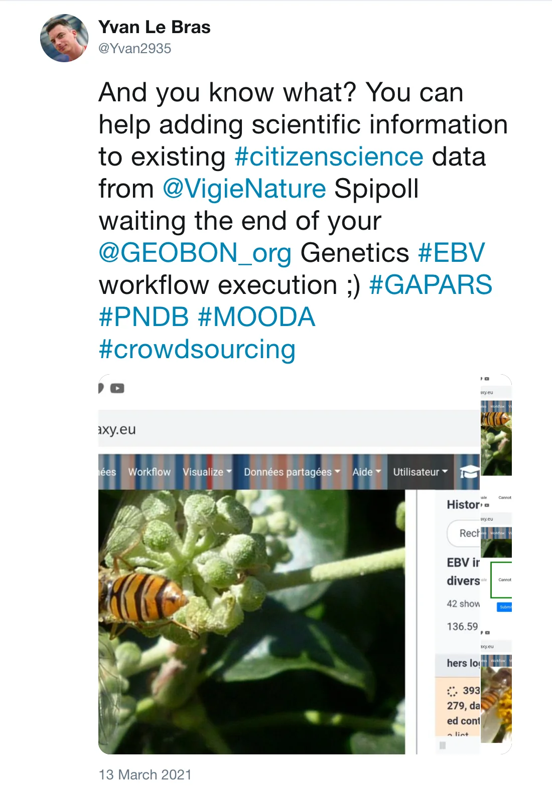 Post by Yvan Le Bras (@Yvan2935): And you know what? You can help adding scientific information to existing #citizenscience data from @VigieNature Spipoll waiting the end of your @GEOBON_org Genetics #EBV workflow execution ;) #GAPARS #PNDB #MOODA #crowdsourcing