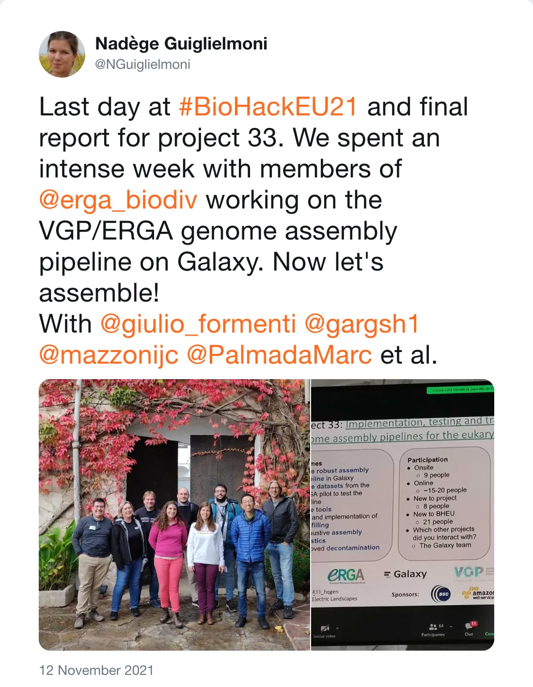 Post by Nadège Guiglielmoni (@NGuiglielmoni): Last day at #BioHackEU21 and final report for project 33. We spent an intense week with members of @erga_biodiv working on the VGP/ERGA genome assembly pipeline on Galaxy. Now let's assemble! With @giulio_formenti @gargsh1 @mazzonijc @PalmadaMarc et al.