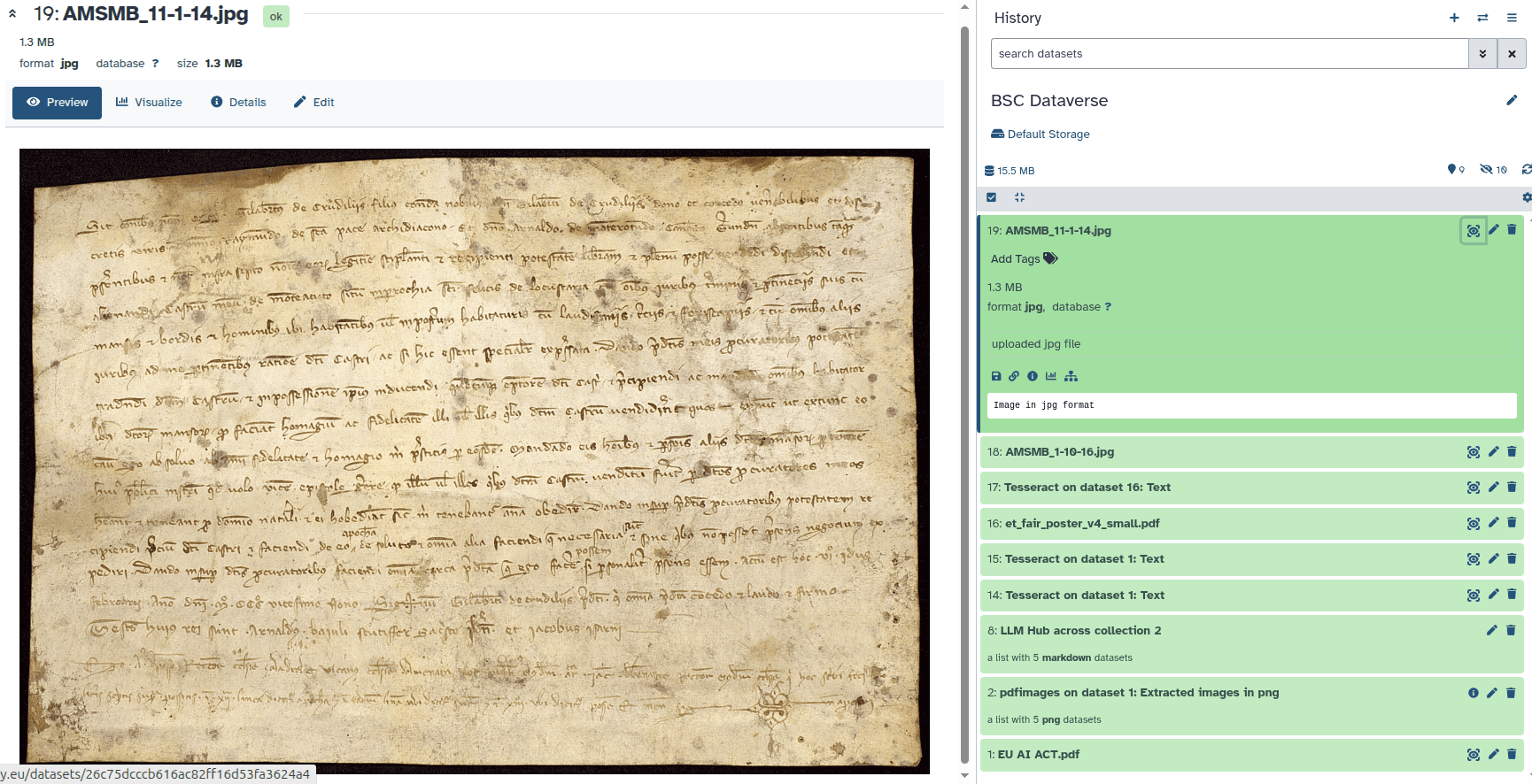 Galaxy: history panel showing the imported dataset