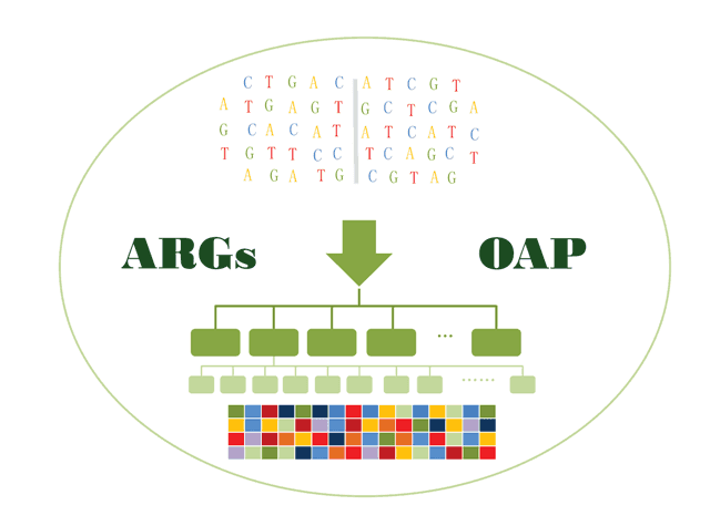 ARGs-OAP
