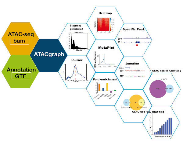 ATACgraph
