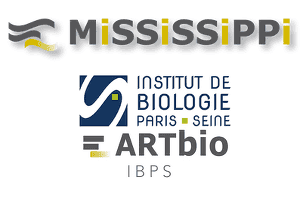MISSIPPI